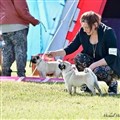 IMG_20170501_142347_573.jpg