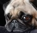 IMG_20201114_165027.jpg